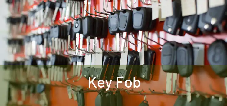  Key Fob 